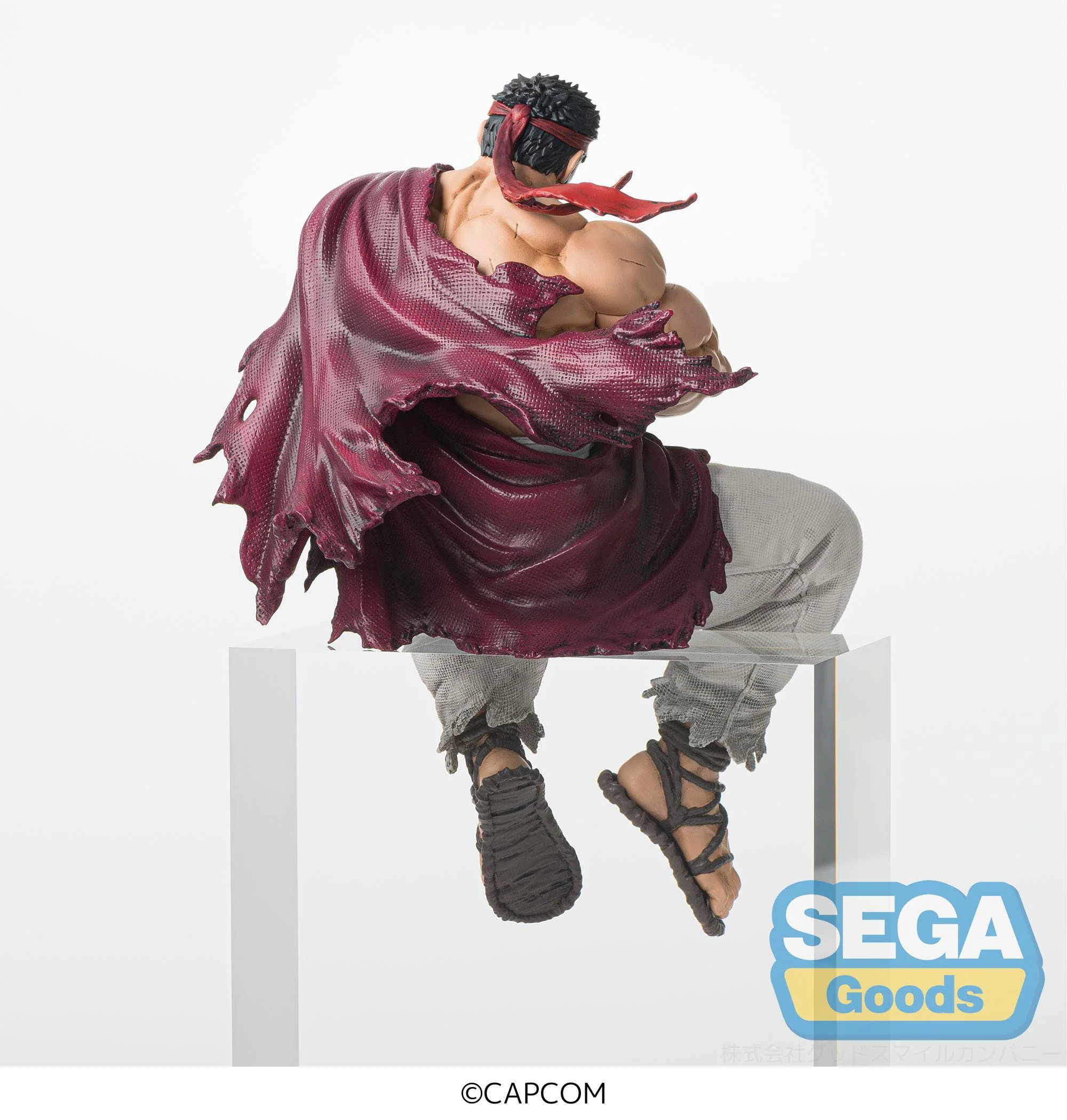 Street Fighter 6 - Ryu Premium Chokonose / Perching - SEGA Prize - Image 4
